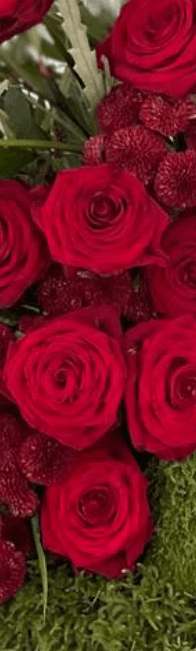 Roses Zoom in